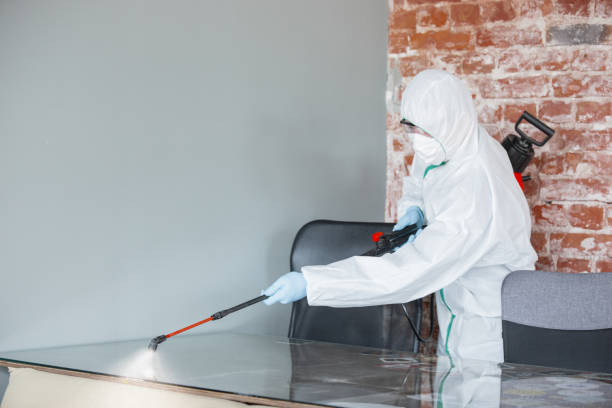 Best Mold Damage Restoration in Laguna Heights, TX