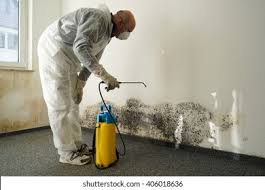 Best Commercial Mold Inspection in Laguna Heights, TX